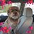 Donna Hann's profile image