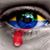 Ana Teresa Senior's profile image