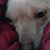 Camille Yawn's profile image