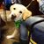 Laura Bamford Kroesen's profile image