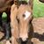 LaVerne Fein's profile image