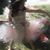 Monica Morales's profile image