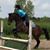 Gail McDermott Bucher's profile image