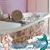 Angel Lantz's profile image