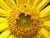 Jessica M.'s profile image