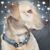 Bruce Fontaine's profile image