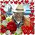 Tracy Whitaker's profile image