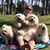 Lorie McConihay's profile image