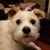 Heather Samson's profile image
