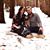 Rachel Ashley Karhoff's profile image