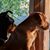 Craig Lapp's profile image