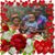 Barbara Lewis's profile image