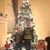 Sarah Rushton's profile image