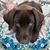 Kathi Bode's profile image