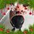 Sherri Hesse Icke's profile image