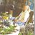 Dione Tripp's profile image