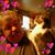 Pam Hurd's profile image