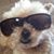 Joanna Marie Houghtelling's profile image