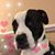 Caroline Swank Rary's profile image
