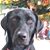 Jen Miller Cammarata's profile image