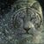 Randy Cossman's profile image