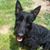 Michele Zdinak Strayer's profile image