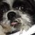 Peg Bonnevier's profile image