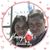 Edson Quinteros's profile image