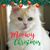 Kathy Vassalotti Faria's profile image