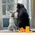 Karen Westbrook Johnson's profile image