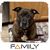 Karen Johnston's profile image