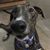 Deron Rex's profile image