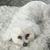 Maggie Deming's profile image