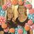 Tonya Marie Cochran-Sneed's profile image