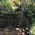 Michele Groesbeck's profile image