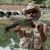 Scott Ellis's profile image