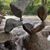 Marianne Mahar's profile image