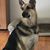 Nancy Quintiliana Miller's profile image
