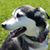 Dennis J Wakely Jr's profile image