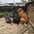Sallyann Patricia's profile image