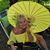 Kathy Francavilla's profile image