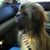 John Cerio's profile image