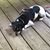 Debbie Robare-Bechtel's profile image