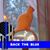 Debbie Adams-Tighe's profile image