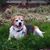 Brenson Brewer's profile image