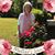 Janet Cox Franklin's profile image