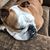 Stacey L Gordon's profile image