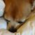 Carol Ragan's profile image