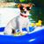 Joy Whitt-Hamilton's profile image