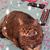 Elizabeth McGuire's profile image